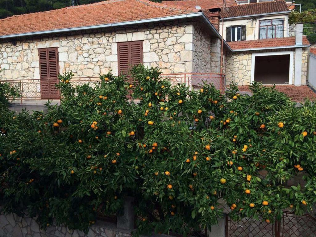 Holiday House With A Parking Space Svirce, Hvar - 17682 Vrbanj Экстерьер фото